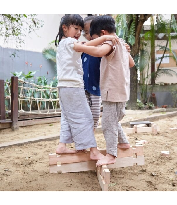 Guidecraft Guidecraft - Notch blokken (89-delig)