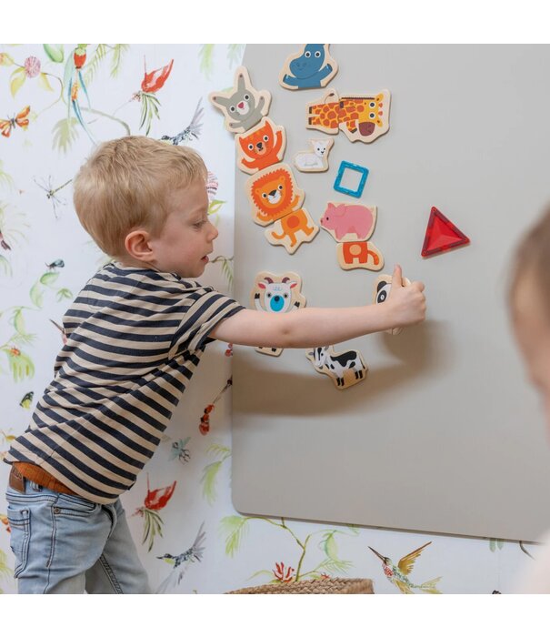 Djeco Djeco - Magneten - Jungle (24-delig)