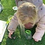 JUTTER & Co. | Ready to Play Speelpakket - Kinderopvang - Natuur
