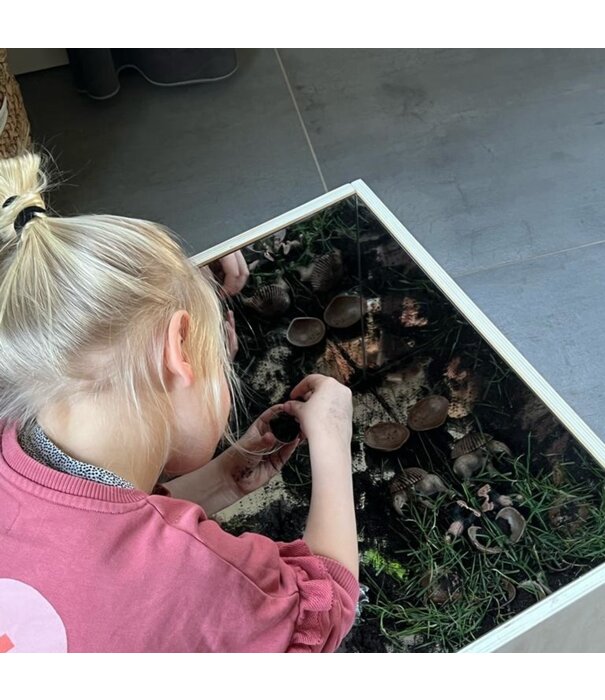 JUTTER & Co. JUTTER & Co. | Ready to Play Speelpakket - Kinderopvang - Natuur