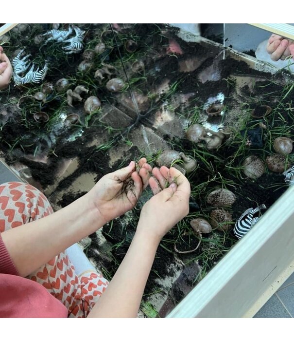 JUTTER & Co. JUTTER & Co. | Ready to Play Speelpakket - Kinderopvang - Natuur