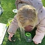 HABA - Terra Kids - Bekerloep Insectenpotje