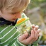 HABA - Terra Kids - Bekerloep Insectenpotje