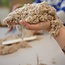Kinetic Sand - 5 kg