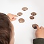 EDX Education - Tactiele Structuur Schelpen (36-delig)