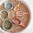 Inspire My Play - Schepjes (3-delig) - Rood/Geel