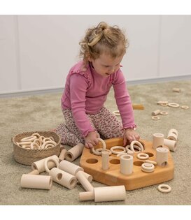 Insteek- en Verzamelspel