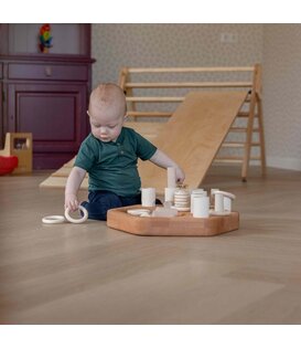 Insteek en Verzamelspel