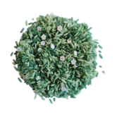 Grennn - Speelrijst - Bloemen Groen (750 gram)