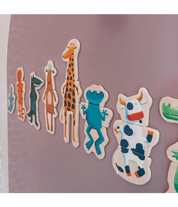 Djeco Djeco - Magneten  Gekke Dieren (24-delig)