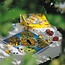 Haba - Spel Boomgaard Jubileumuitgave 3+