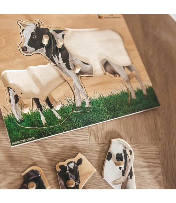 JUTTER & Co. Ready to Play Speelpakket – Puzzelen  VVE