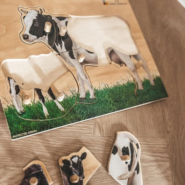 Ready to Play Speelpakket – Puzzelen  VVE