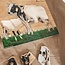 Ready to Play Speelpakket – Puzzelen  VVE