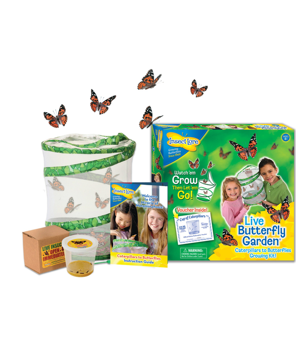 Insect Lore Insect Lore - Levenscyclus Set - Vlinder
