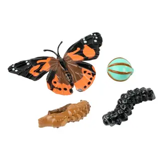 Insect Lore Levenscyclus Set  Figuren - Vlinder (4-delig)