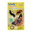 Insect Lore - Levenscyclus Set  Figuren - Vlinder (4-delig)