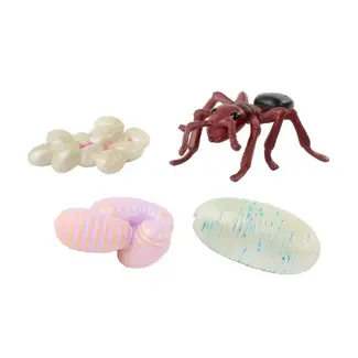 Insect Lore Levenscyclus Set  Figuren - Mier (4-delig)