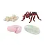 Insect Lore - Levenscyclus Set  Figuren - Mier (4-delig)