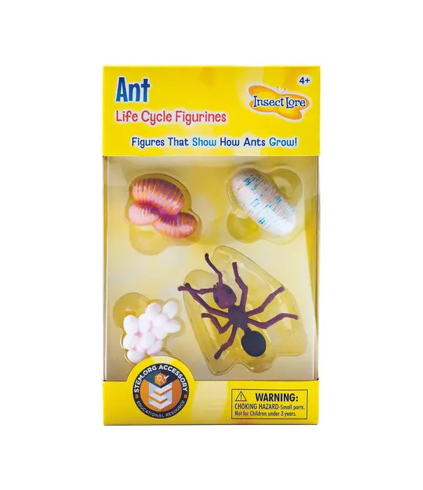 Insect Lore Insect Lore - Levenscyclus Set  Figuren - Mier (4-delig)