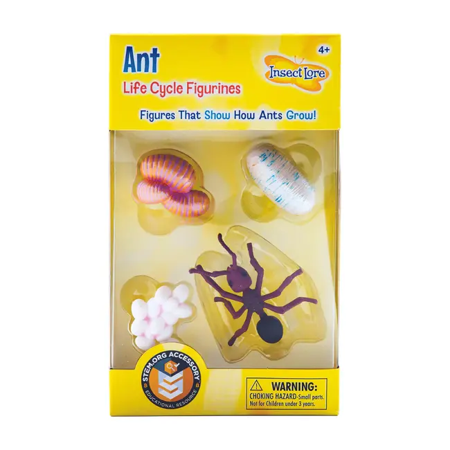 Insect Lore - Levenscyclus Set  Figuren - Mier (4-delig)
