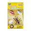 Insect Lore - Levenscyclus Set  Figuren - Mier (4-delig)