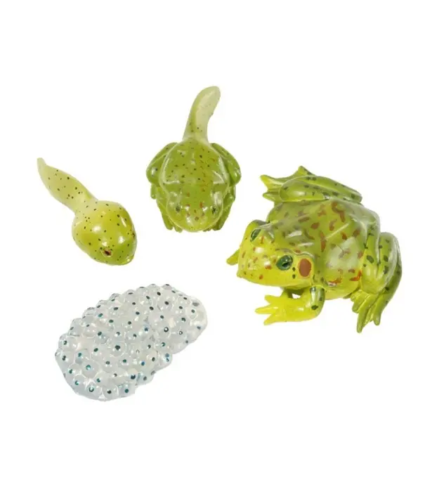 Insect Lore Insect Lore - Levenscyclus Set  Figuren - Kikker (4-delig)