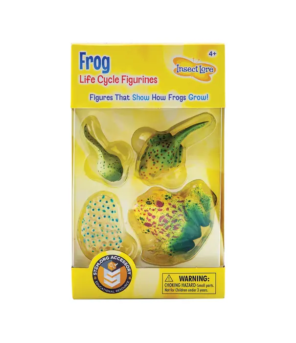 Insect Lore Insect Lore - Levenscyclus Set  Figuren - Kikker (4-delig)