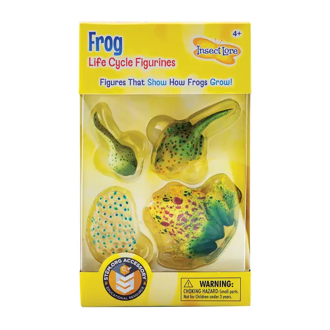 Insect Lore - Levenscyclus Set  Figuren - Kikker (4-delig)