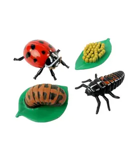 Levenscyclus Set Figuren - Lieveheersbeestje (4-delig)