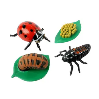 Insect Lore Levenscyclus Set Figuren - Lieveheersbeestje (4-delig)