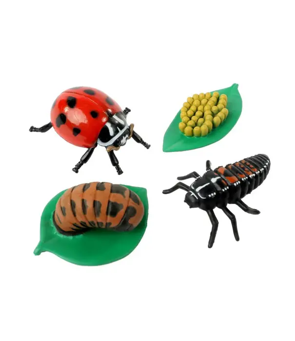 Insect Lore Insect Lore - Levenscyclus Set  Figuren - Lieveheersbeestje (4-delig)
