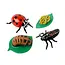 Insect Lore - Levenscyclus Set  Figuren - Lieveheersbeestje (4-delig)
