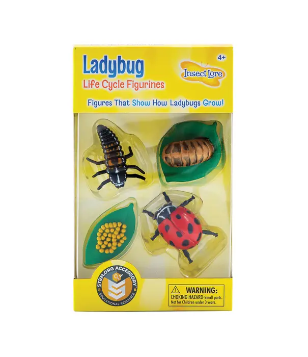 Insect Lore Insect Lore - Levenscyclus Set  Figuren - Lieveheersbeestje (4-delig)