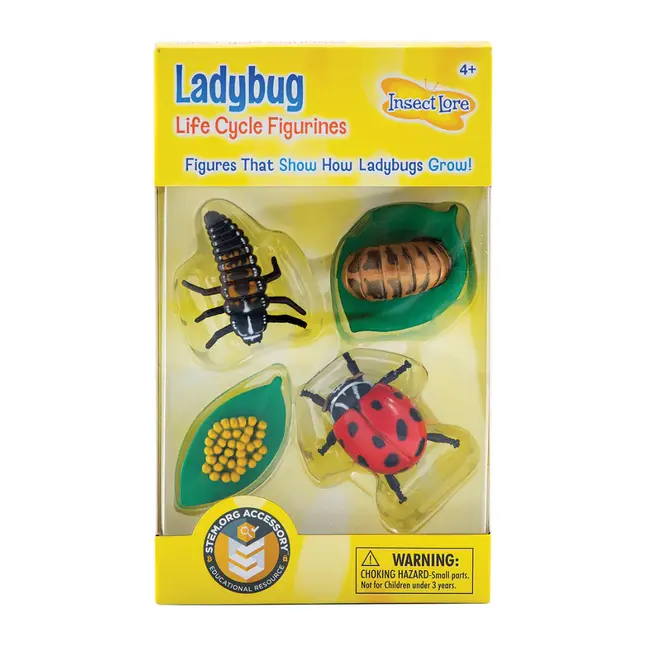 Insect Lore - Levenscyclus Set  Figuren - Lieveheersbeestje (4-delig)