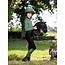 LeMieux -  Hobby Horse  Stokpaard - Freya