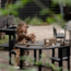 Kids By Design - Buiten Tafel Rond (Ø 90 cm - H 50 cm)