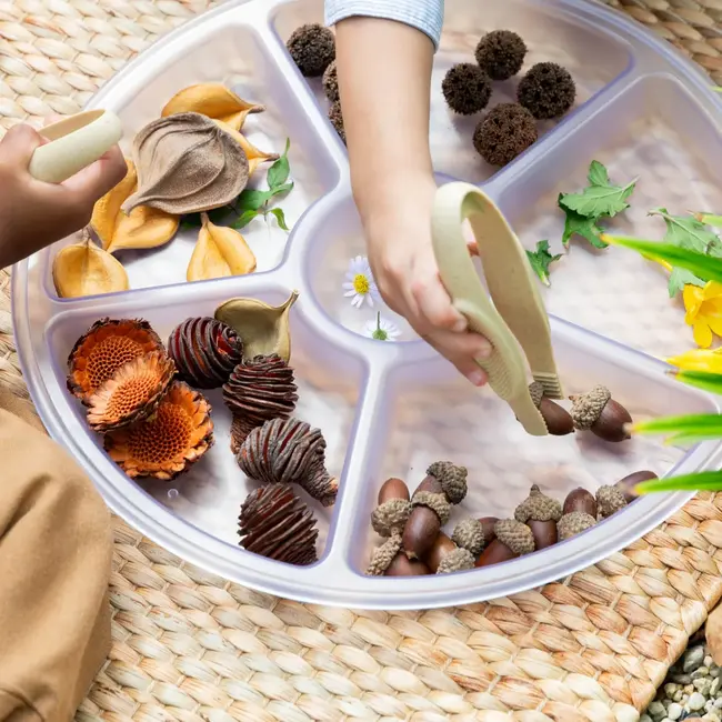 Guidecraft - Loose Parts Sorteer Trays (4-delig)