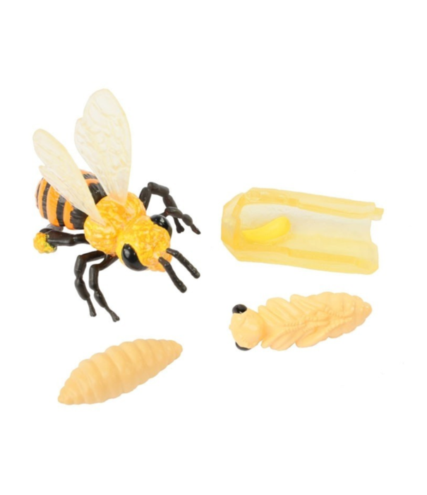 Insect Lore Insect Lore - Levenscyclus Set  Figuren - Honing Bij (4-delig)