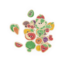 Janod - Magneetset Groente & Fruit (24-delig)