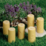 Yellow Door - Rol Stempels Tuin Insecten (6-delig)