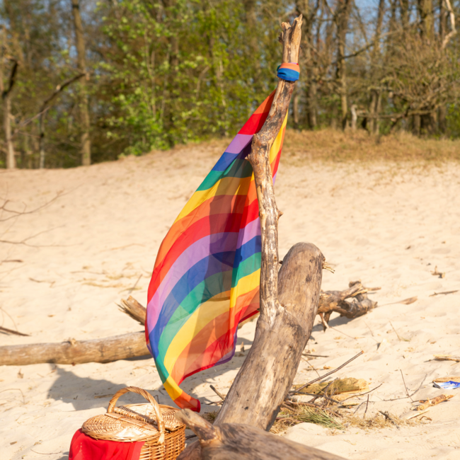 Little Botanic Label - Playcycle Speeldoek Waves Regenboog (95 cm)