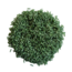 Grennn - Speelrijst - Groen  (750 gram)