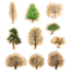 The Freckled Frog - Houten Bomen (10-delig)