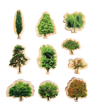 Houten Bomen (10-delig)
