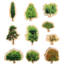 The Freckled Frog Houten Bomen (10-delig)