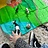 Dieren