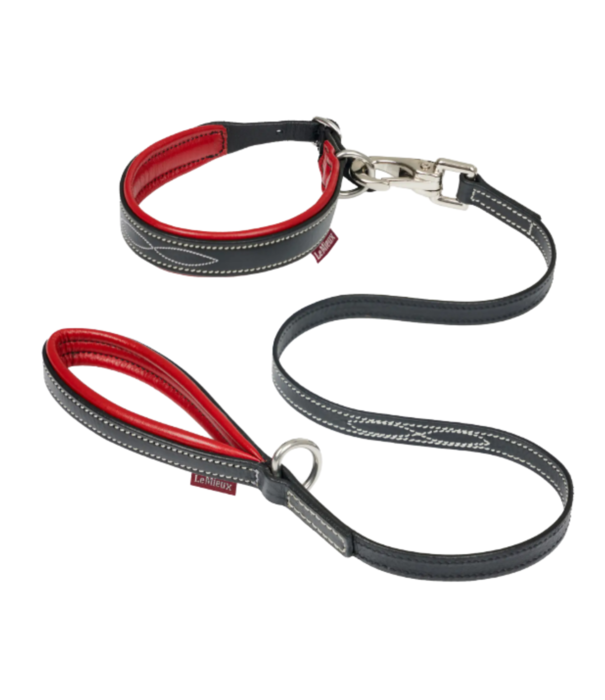 LeMieux LeMieux - Toy Puppy - Halsband & Riem rood