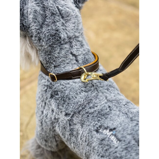 LeMieux - Toy Puppy - Halsband & Riem blauw