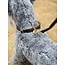 LeMieux - Toy Puppy - Halsband & Riem blauw